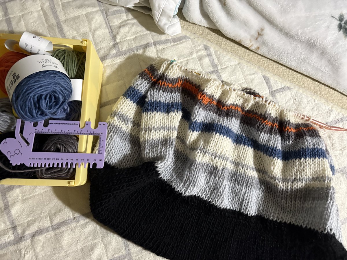 🍽️아리🧶 tweet media