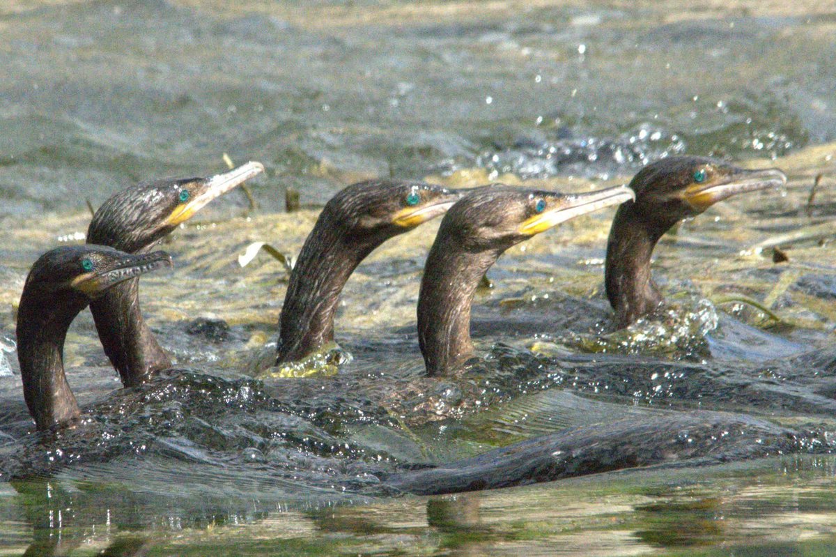 Sturdy Jenn tweet media