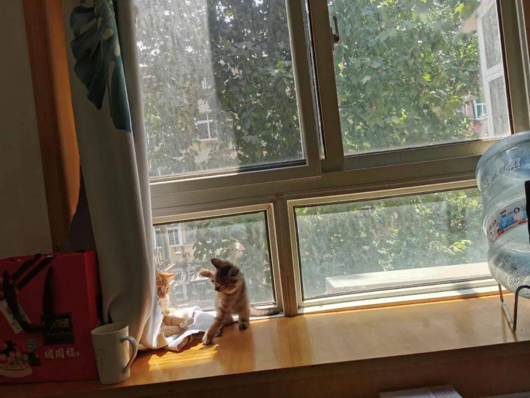 pascal goubert tweet media