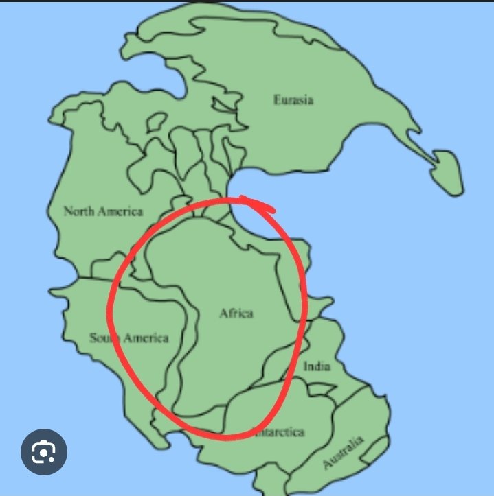 🇲🇫 tweet media