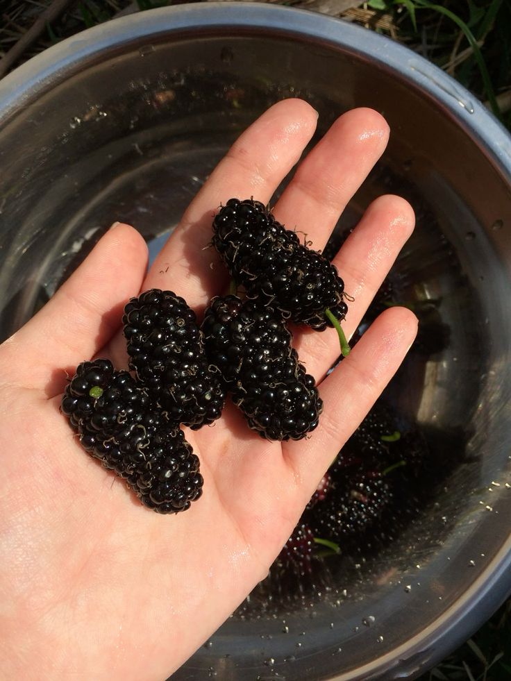 𝑺𝒆𝒓𝒆𝒏𝒍𝒚 tweet media