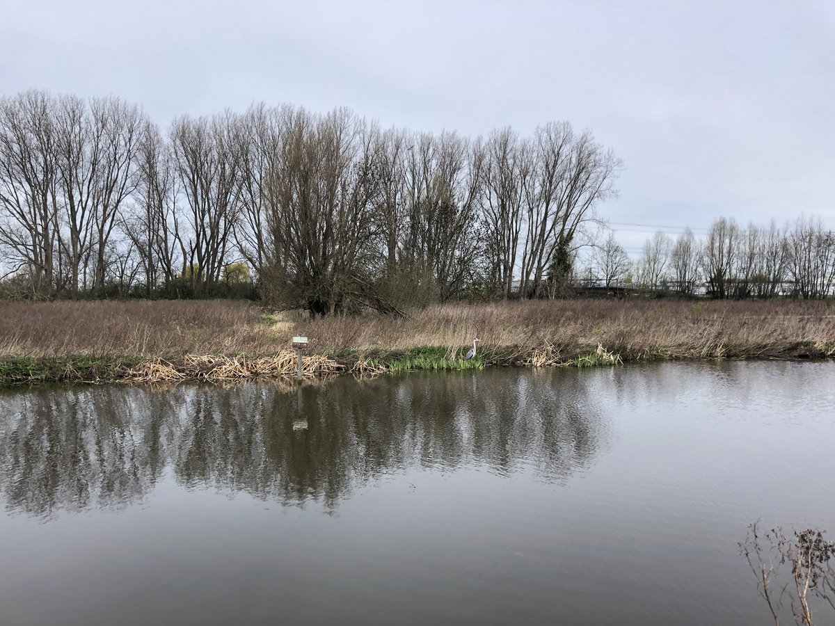 Frans van Zijderveld tweet media