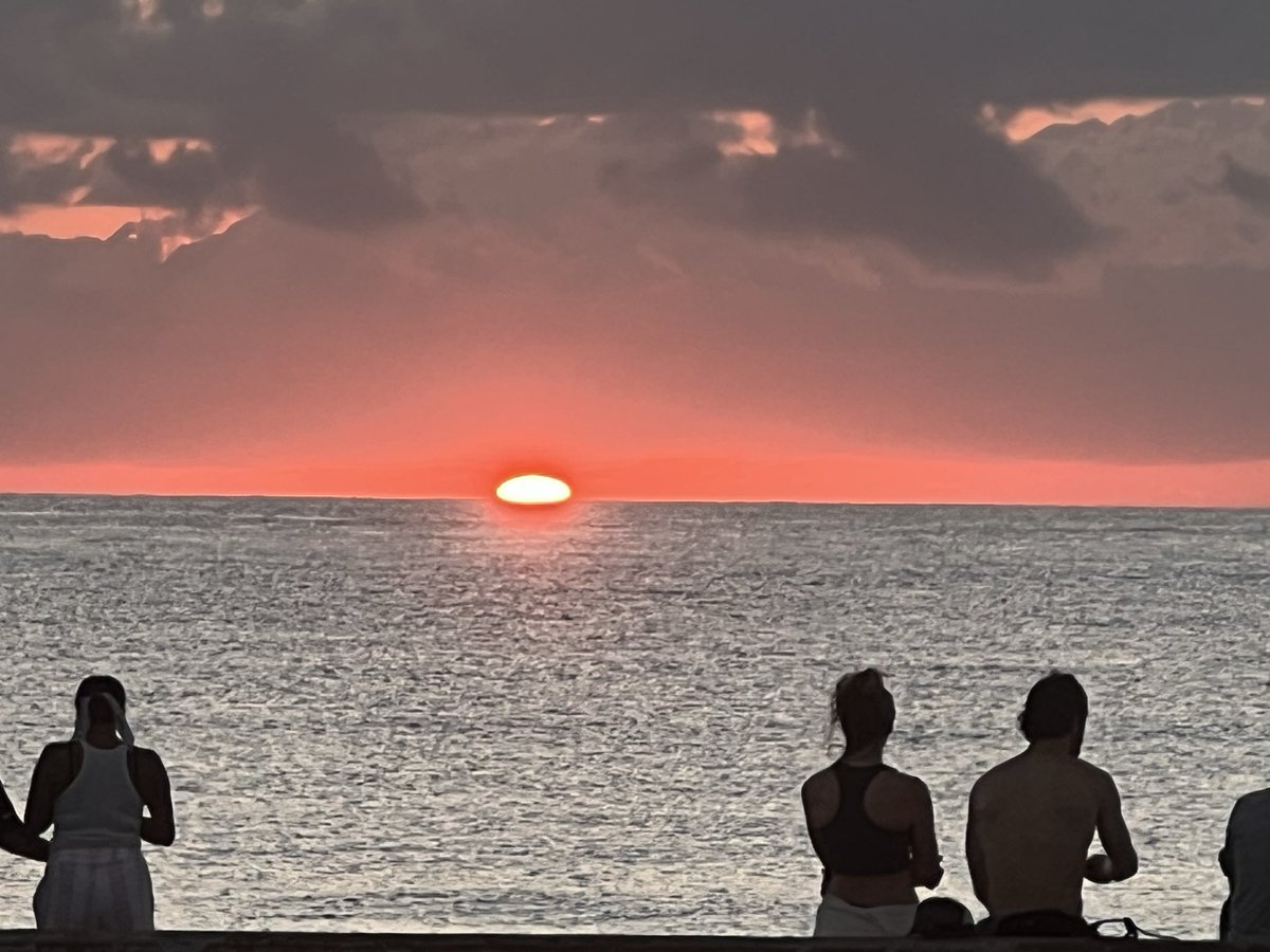 Ali Thomas tweet media