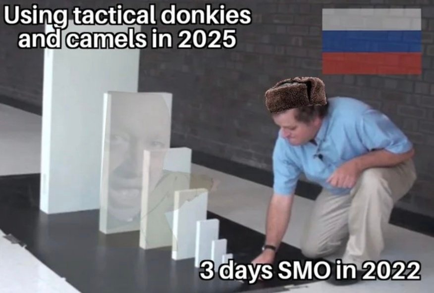 maggenspies tweet media