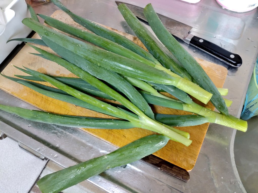 てっぱもん＠狂気のブロガー💩 tweet media