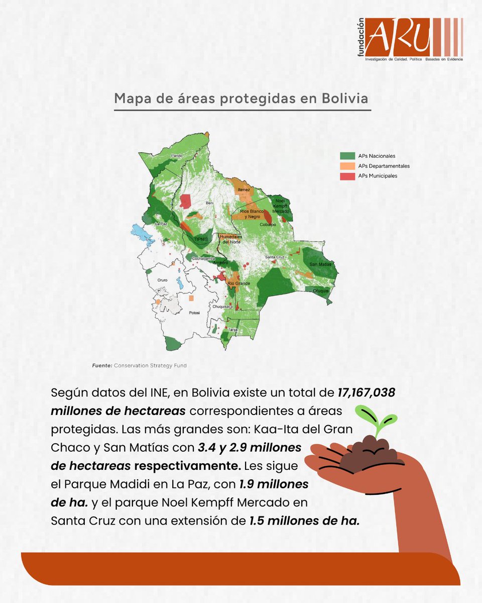 Fundación Aru tweet media