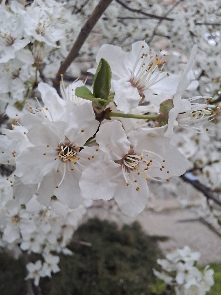 утренняя звезда💫 tweet media