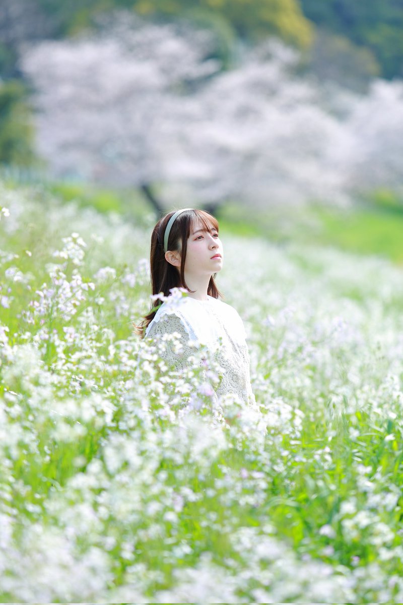 kurowasan11's tweet photo. 2022年桜
モデル　ゆいさん https://t.co/bDw1HW9nNz