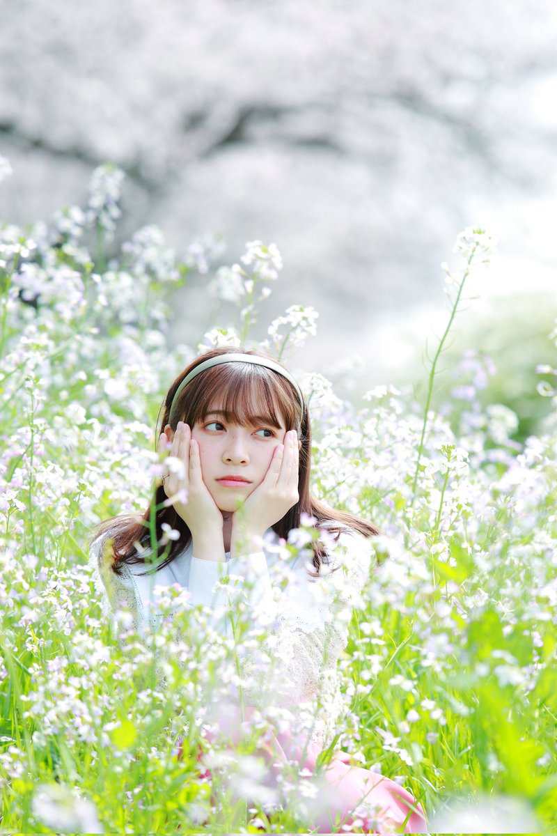 kurowasan11's tweet photo. 2022年桜
モデル　ゆいさん https://t.co/bDw1HW9nNz