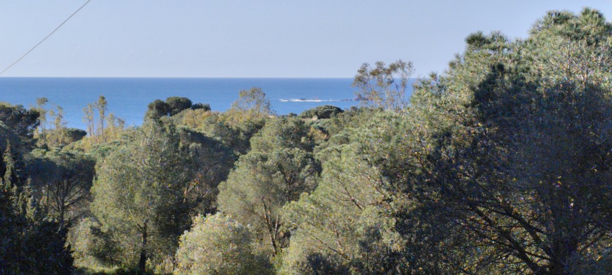 C Company | |⭐️| | tweet media