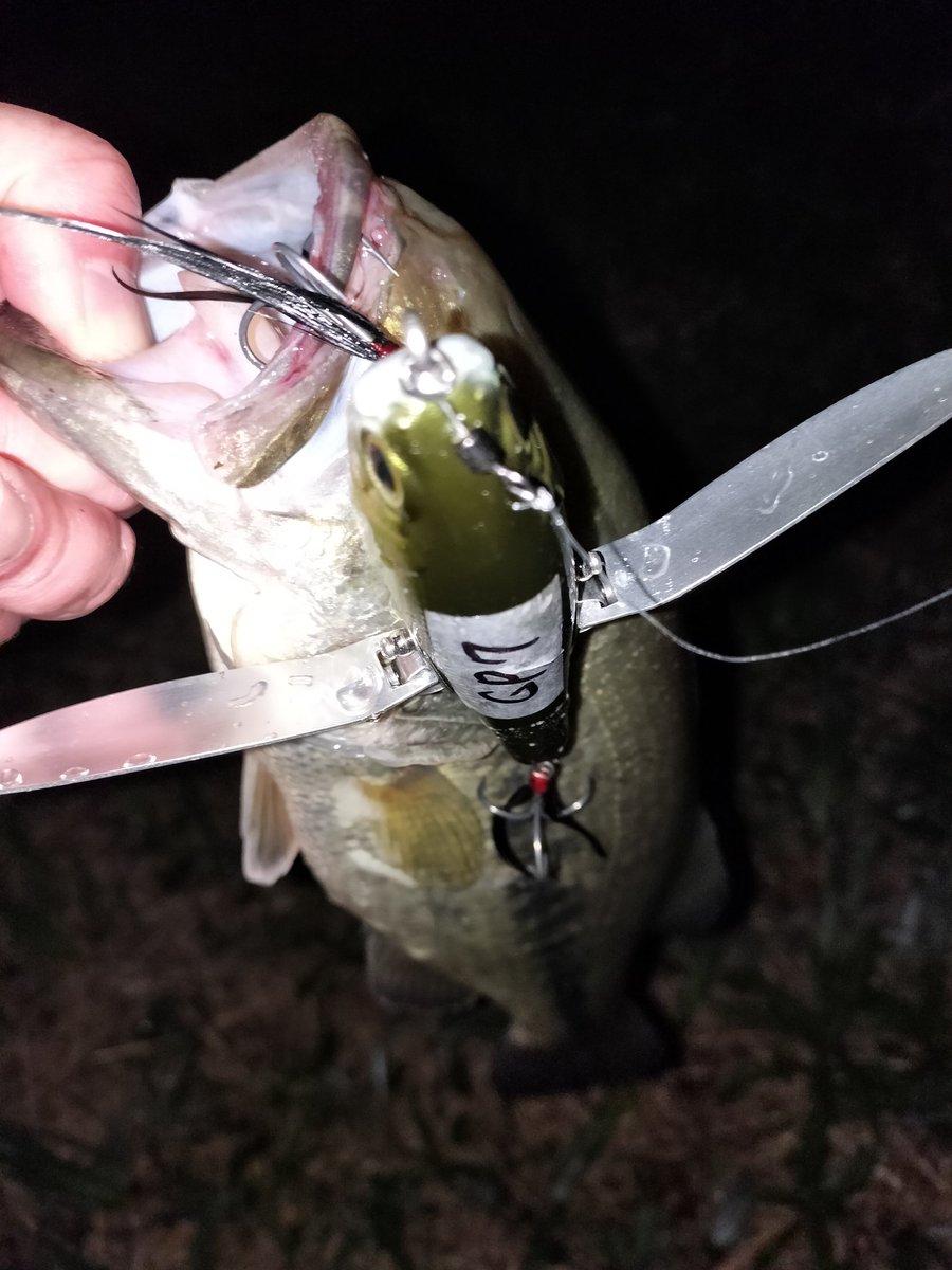 へたれフィッシャーマン＠デカハネGP初参戦 tweet media