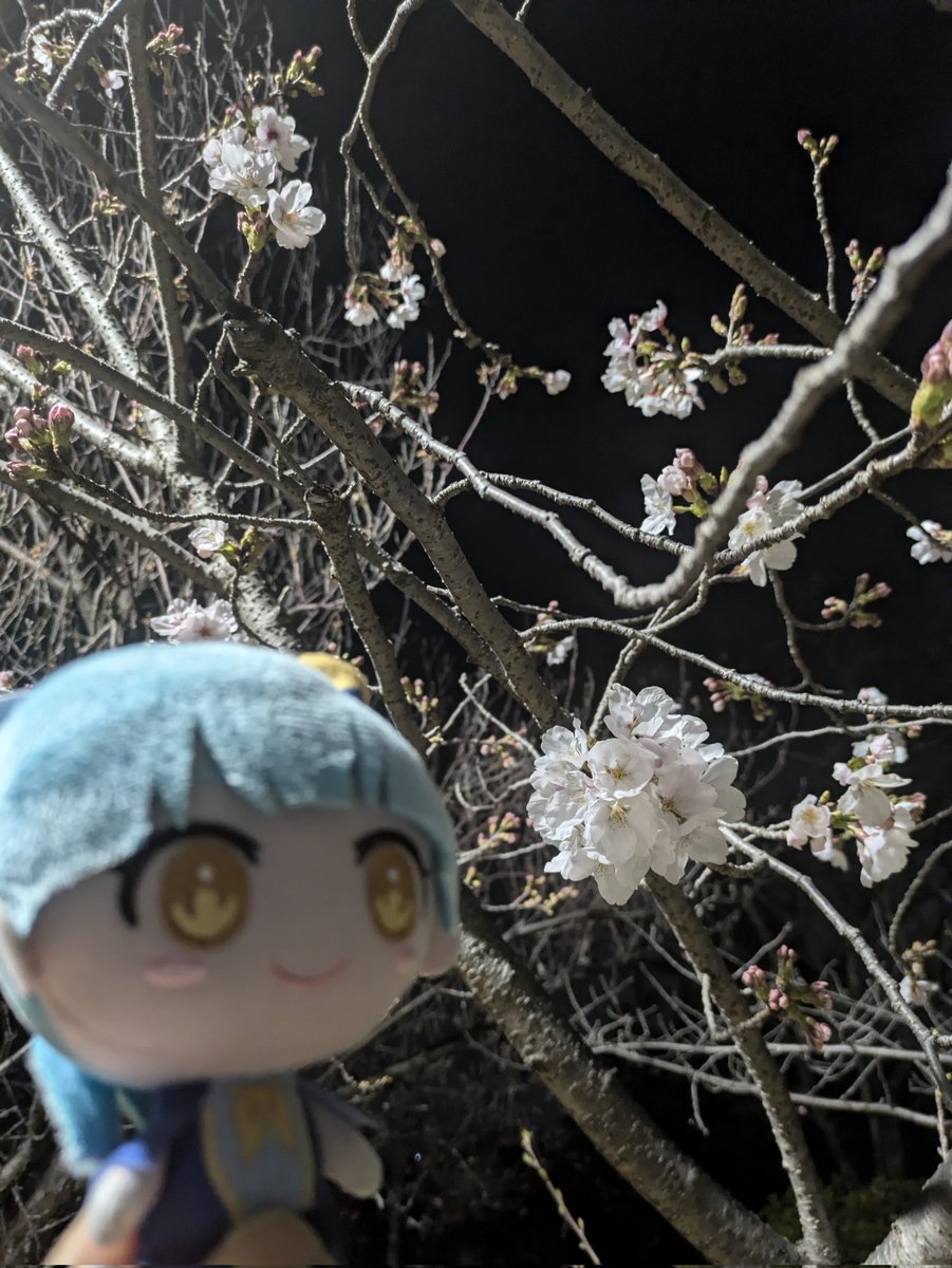 まさとし tweet media