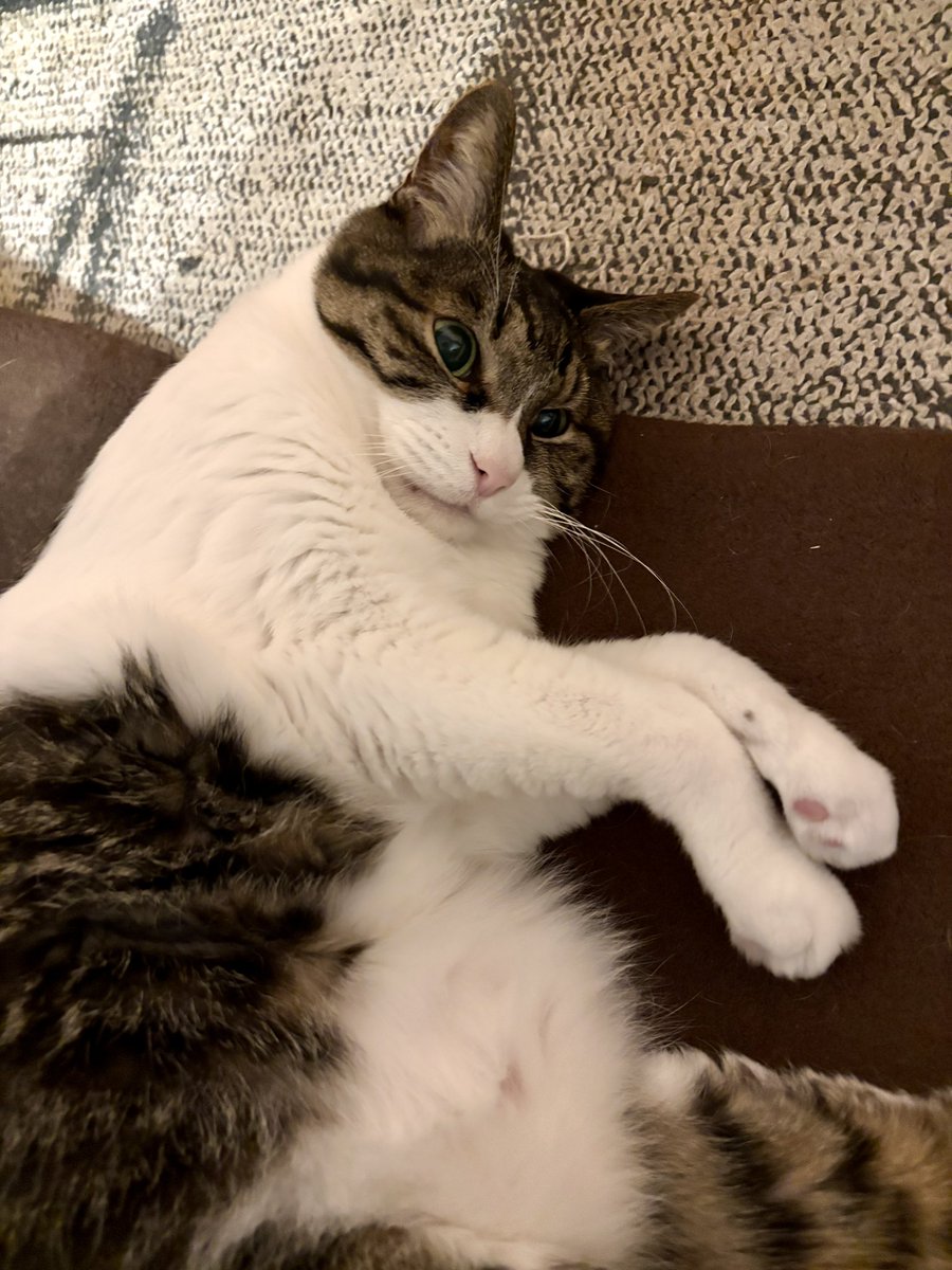 マスブチミナコ tweet media