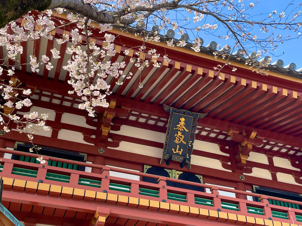 tm11sr's tweet photo. 今日は桜を見に歩き倒した1日でした https://t.co/w0UeaQtzcM