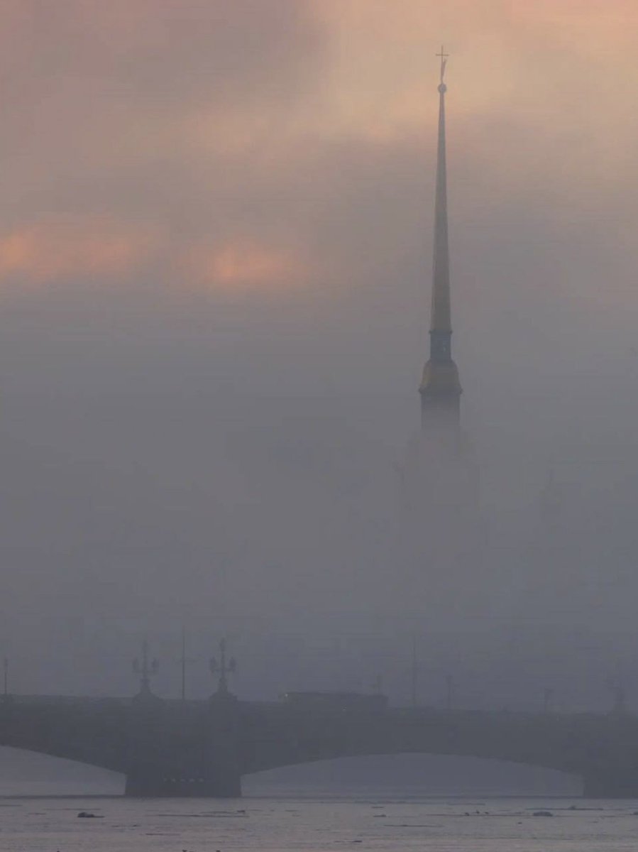 Ivan Zhdanov tweet media