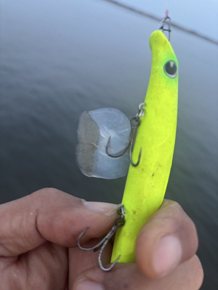 eちゃお ちょちょポリス tweet media