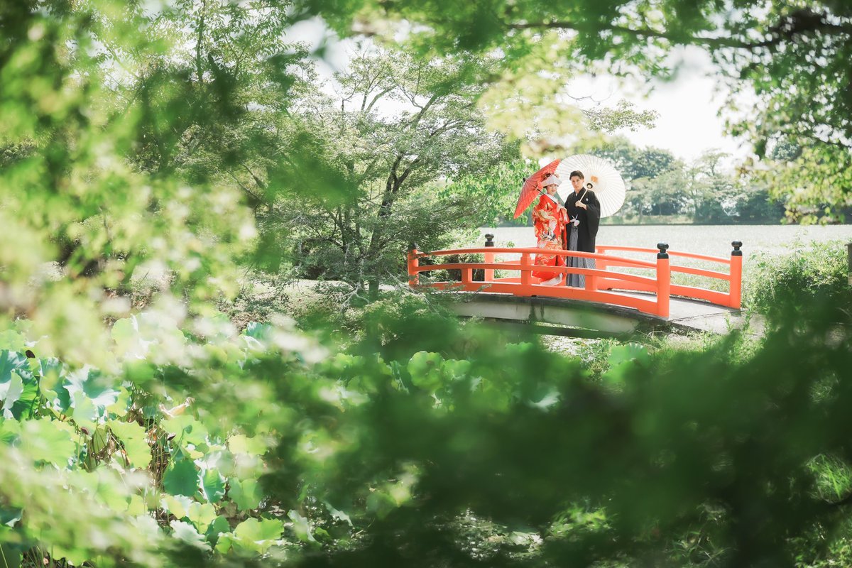 京織雪 tweet media