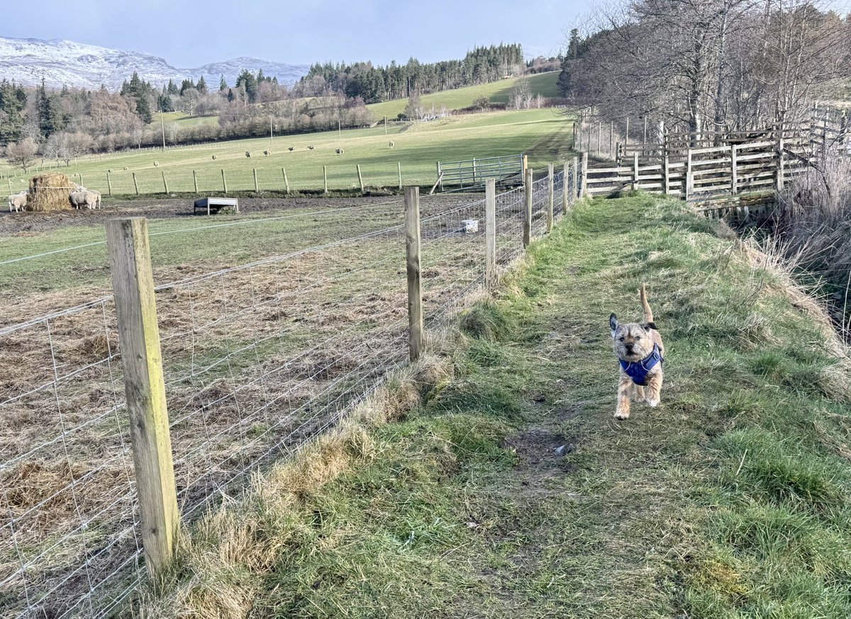 Lord Culter BT 🏴󠁧󠁢󠁳󠁣󠁴󠁿 Order of the IT tweet media