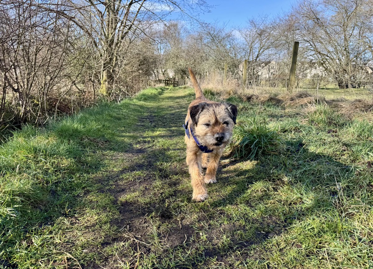 Lord Culter BT 🏴󠁧󠁢󠁳󠁣󠁴󠁿 Order of the IT tweet media