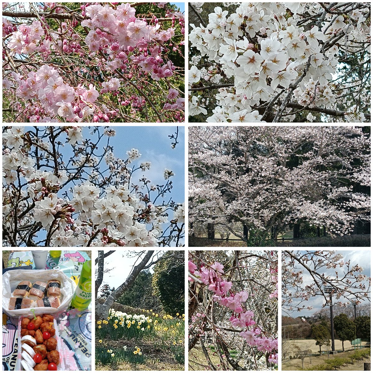 まやの tweet media