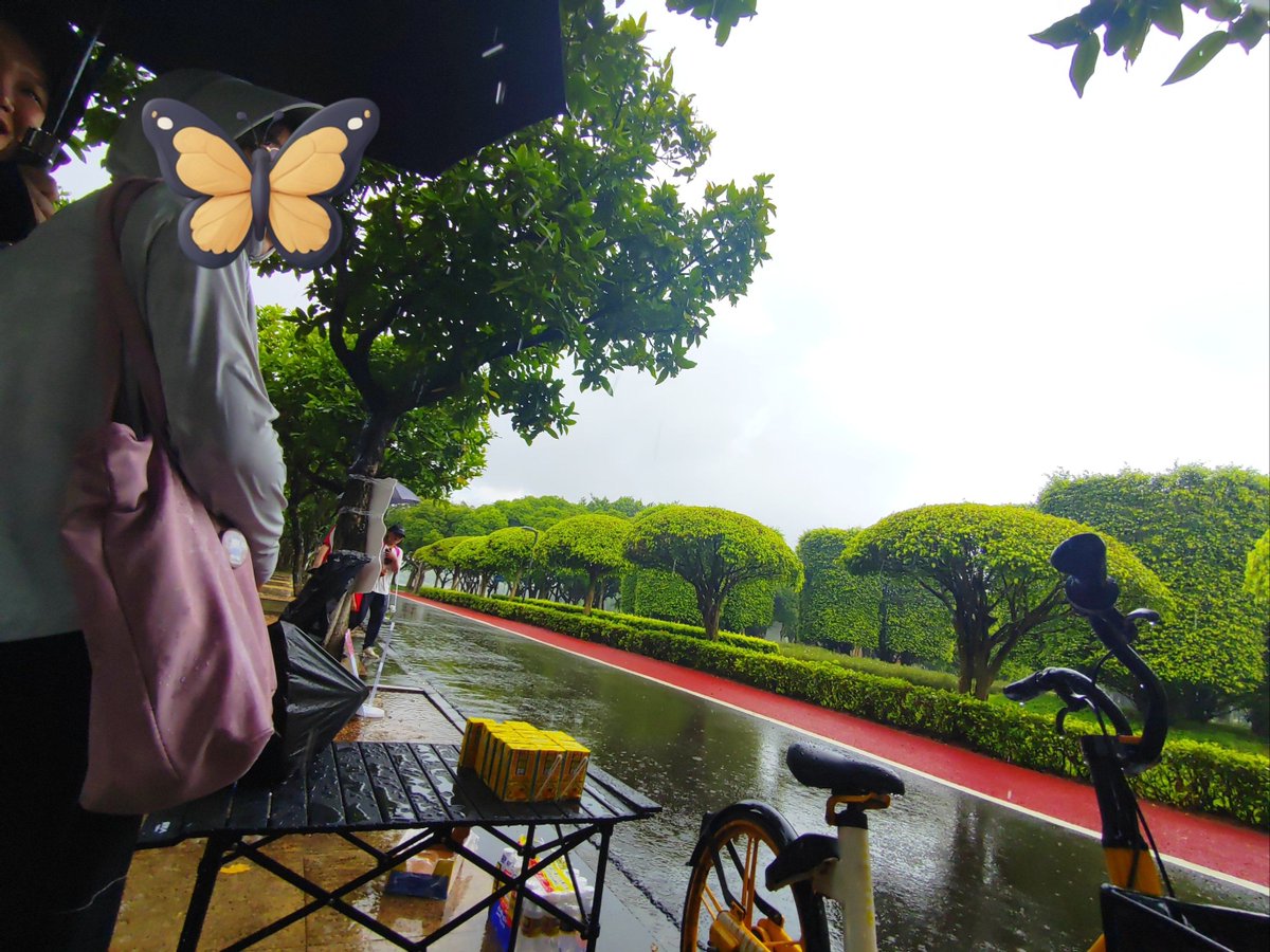 TailorKnightMusic tweet media