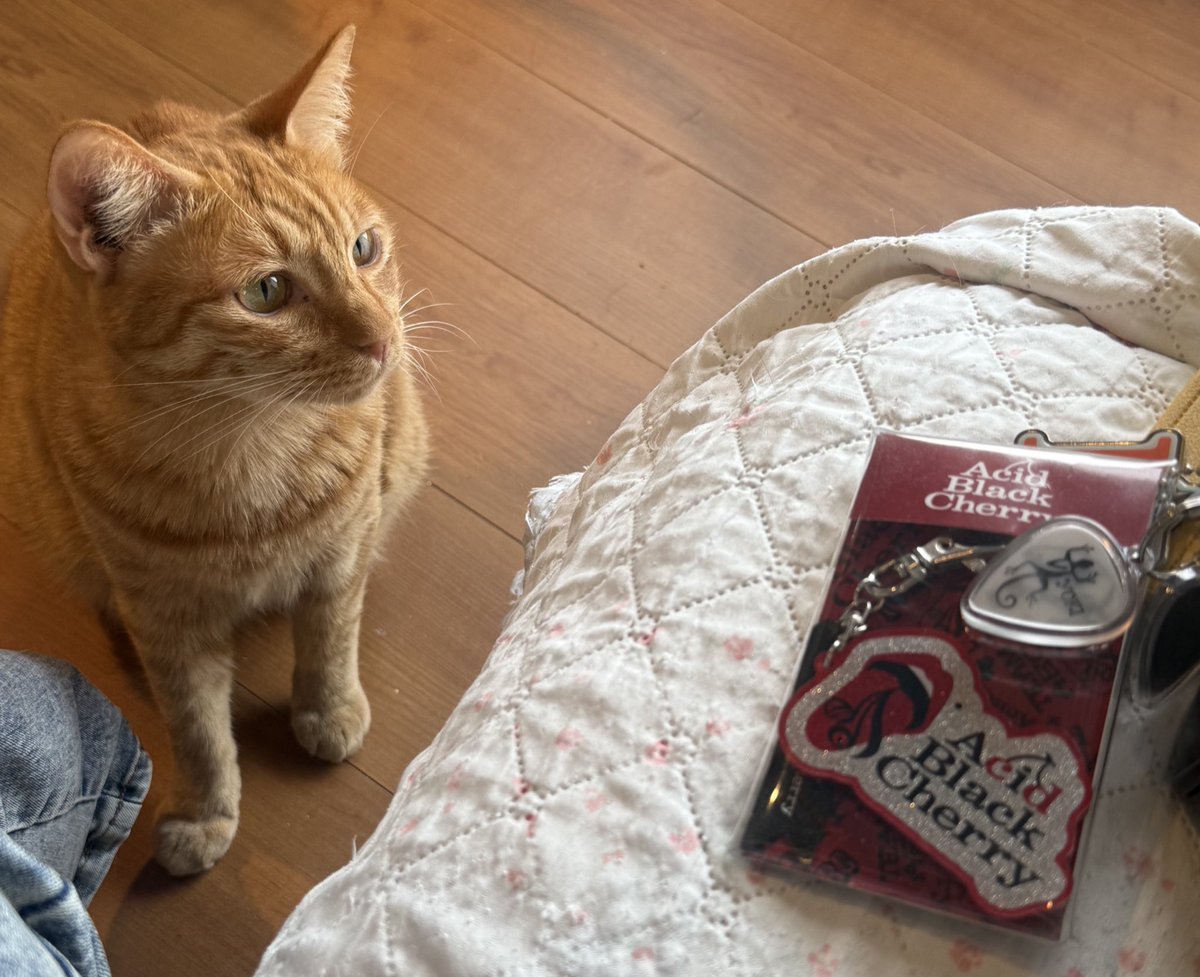 える.@yasu何時もありやぁす♡ tweet media