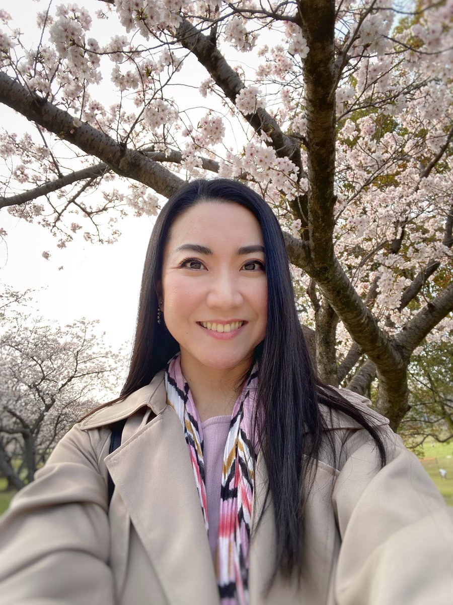 Yoko 🇯🇵 | ランダムヨーコ (石井陽子) tweet media