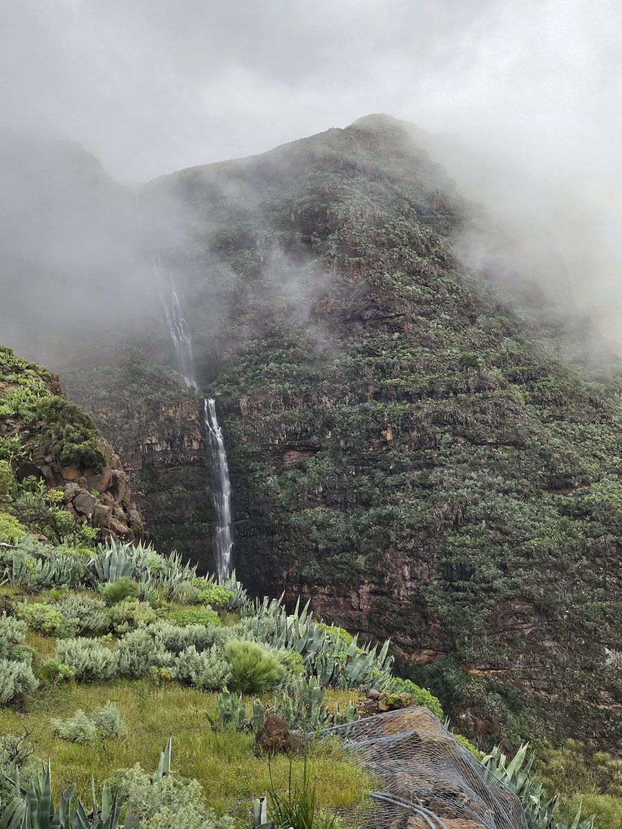 Ali🇮🇨 tweet media