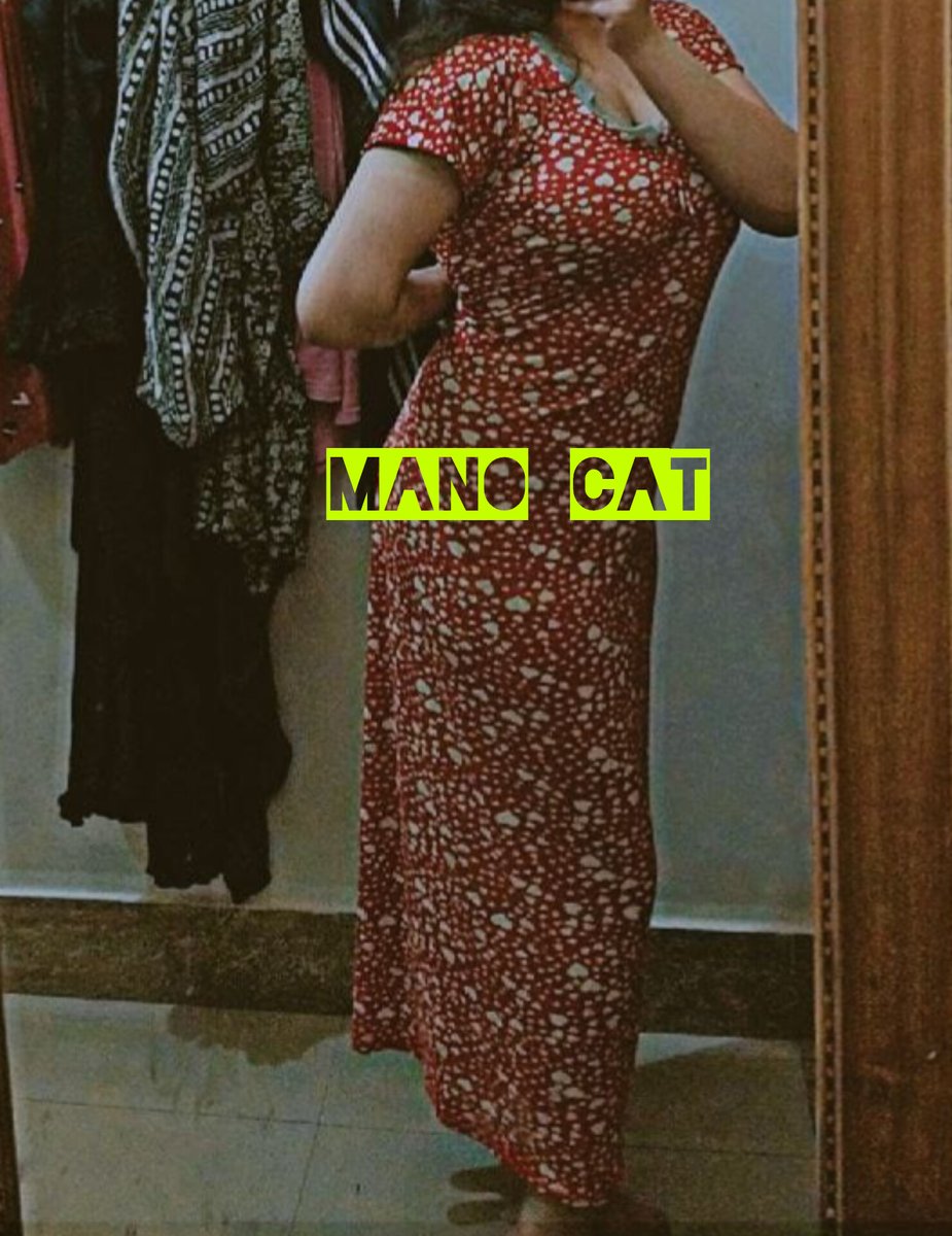 mano cat tweet media