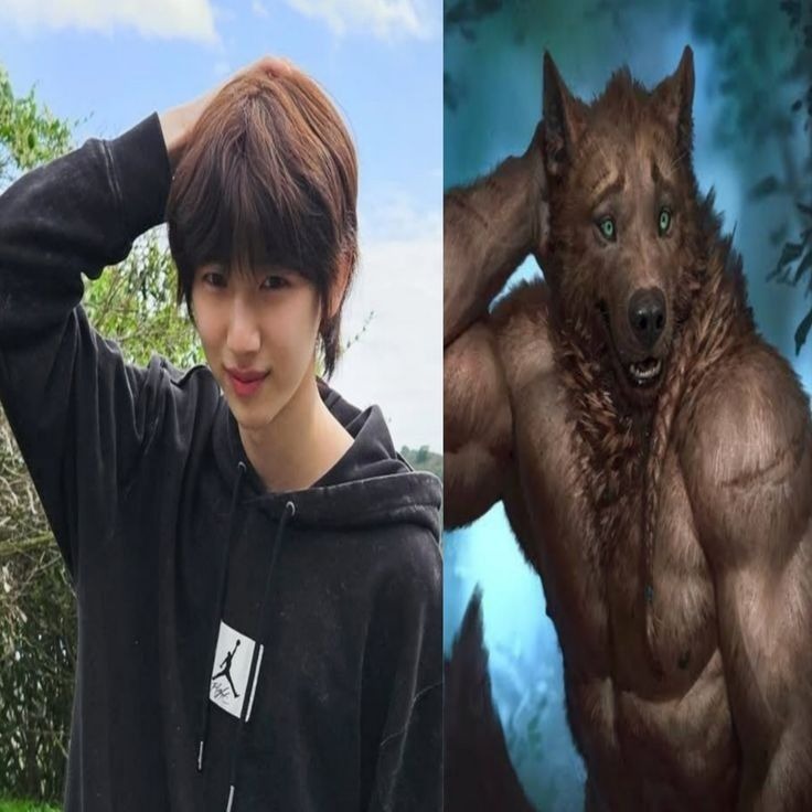 CORTISFESS ─ BASE ON tweet media