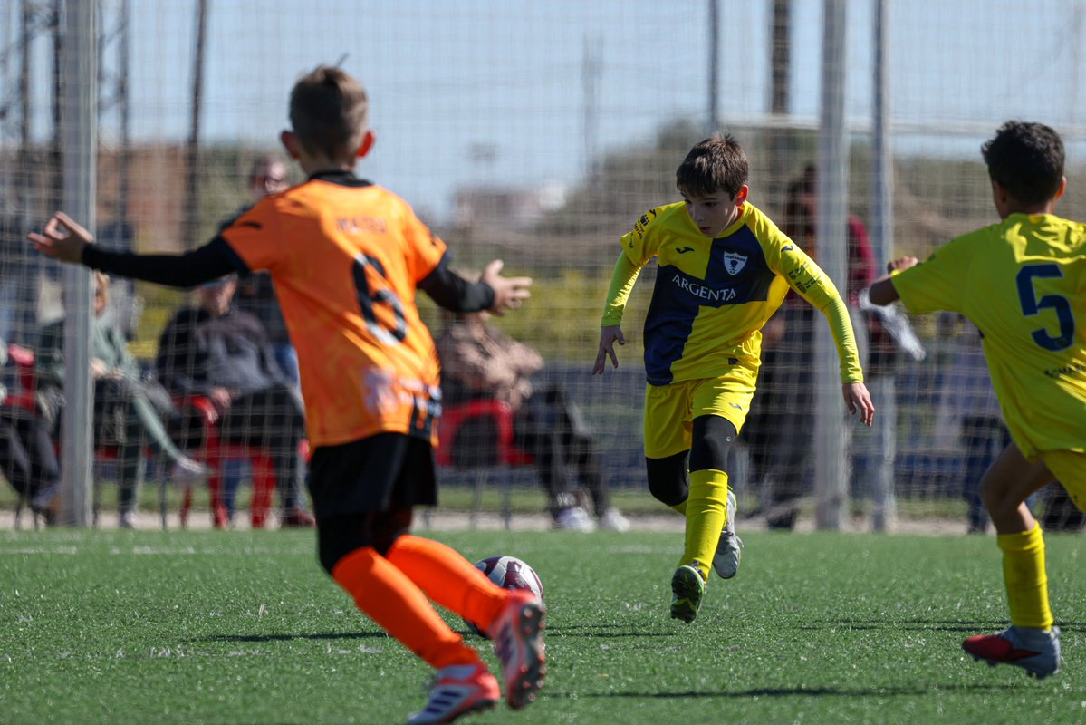 Alqueries C.F. tweet media