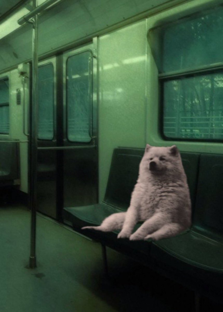 Goldroger tweet media