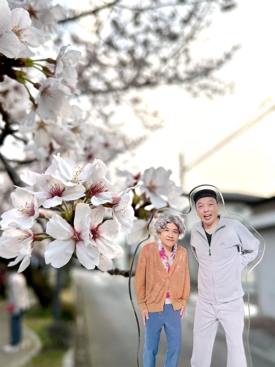 百助 tweet media