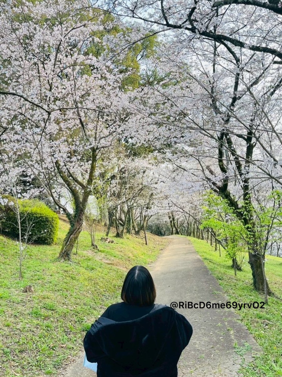 RiBcD6me69yrvO2's tweet photo. 妹と花見行ったら満開だった！

来月も頑張ろ https://t.co/kGm3asUtzZ