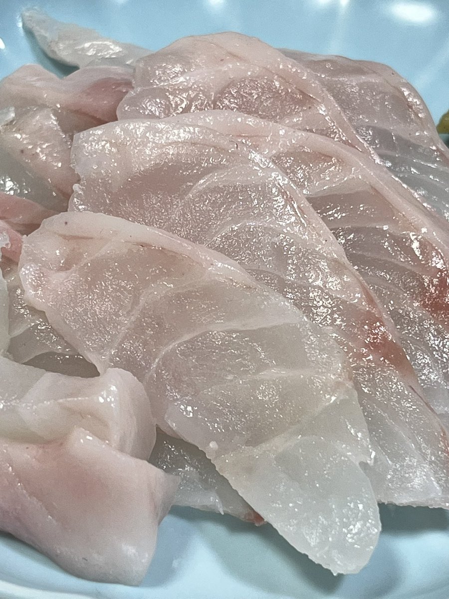 パパっちゴリラ tweet media