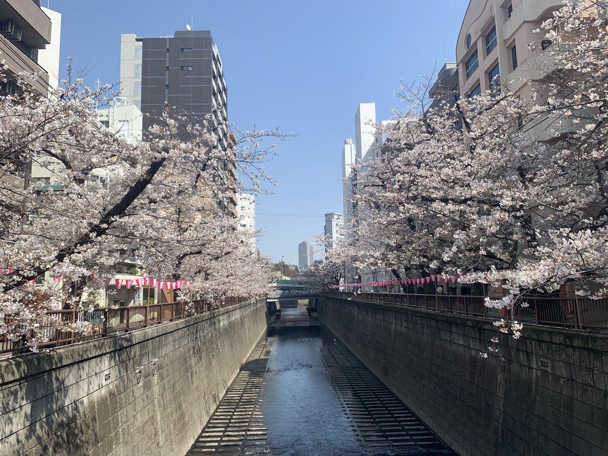 しゅう tweet media