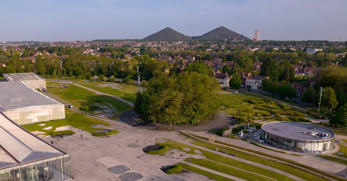 martesien tweet media