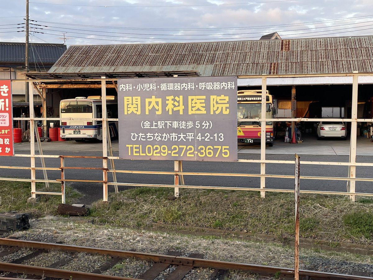 うみしま tweet media