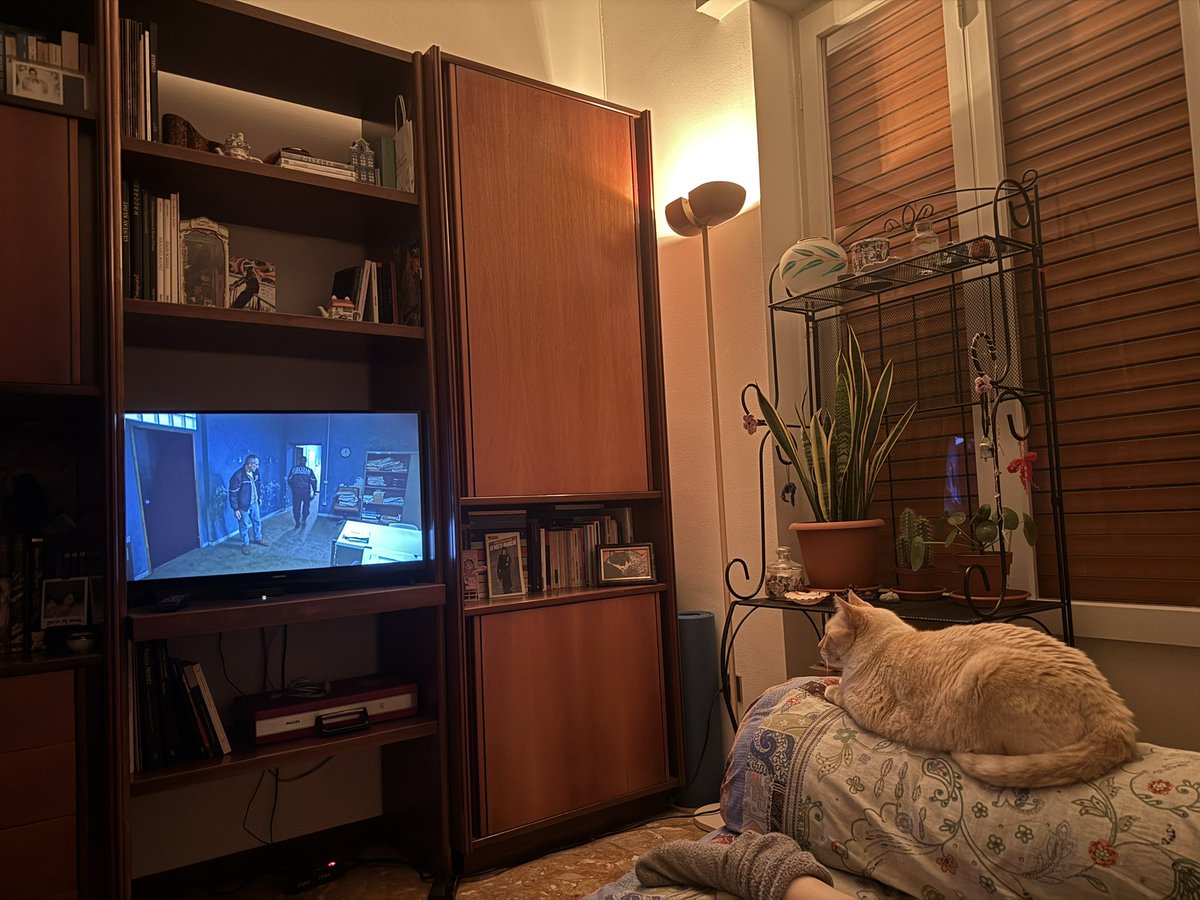 𝓈𝑜𝒻𝒾𝒶🧚🏻‍♀️ tweet media