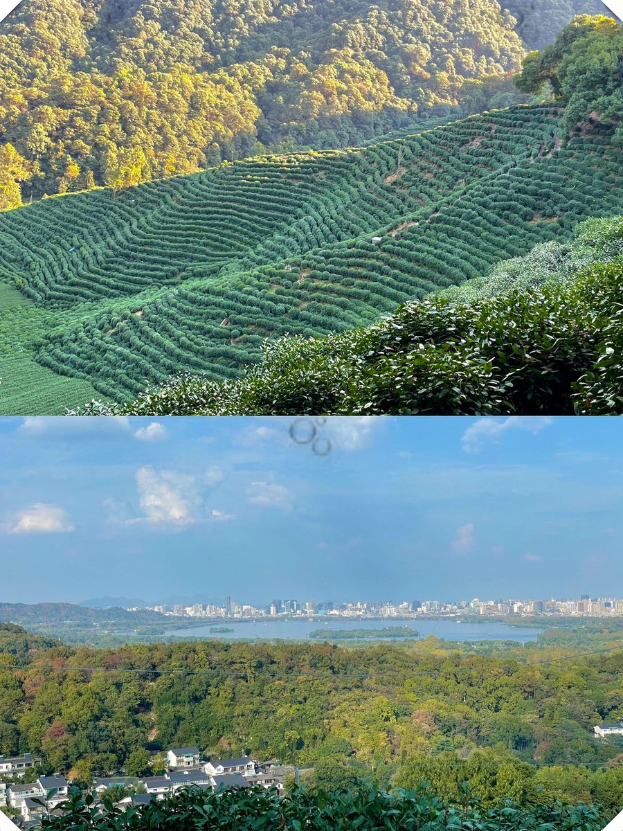 Taylor Buller tweet media