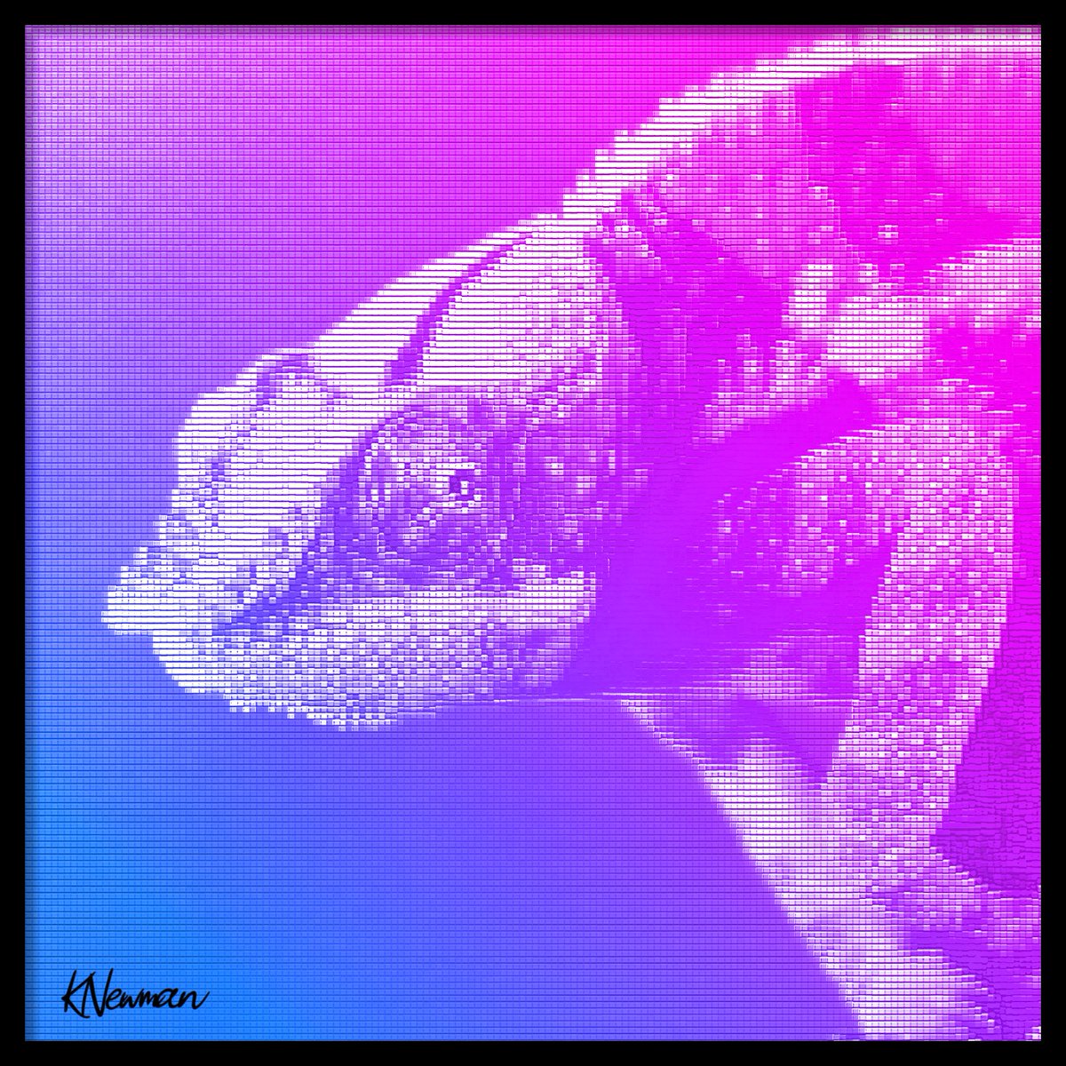 Kenneth Newman tweet media