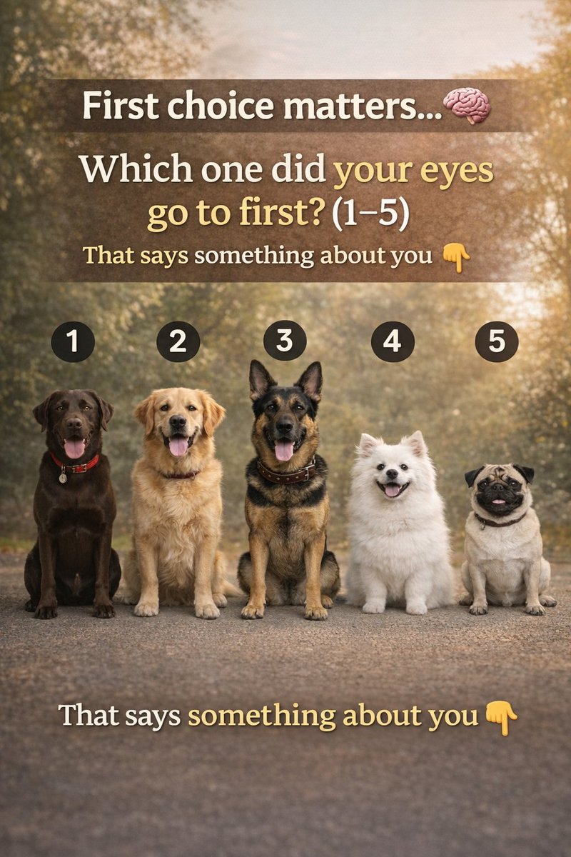 Kristina Bolten tweet media