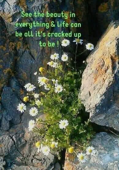 Amandacounsel's tweet image. I hope you have a weekend full of wonder #beaware of you &amp;amp; your surroundings take time to look at the little details &amp;amp; life will surprise you✨💙;✨🪶🐾🌊🌈🔍🌻 #bekind #becurious #becreative #beuniquelyyou #believeinyou #letyoursparkleshine  #SeseofBelonging  @childrens_mw