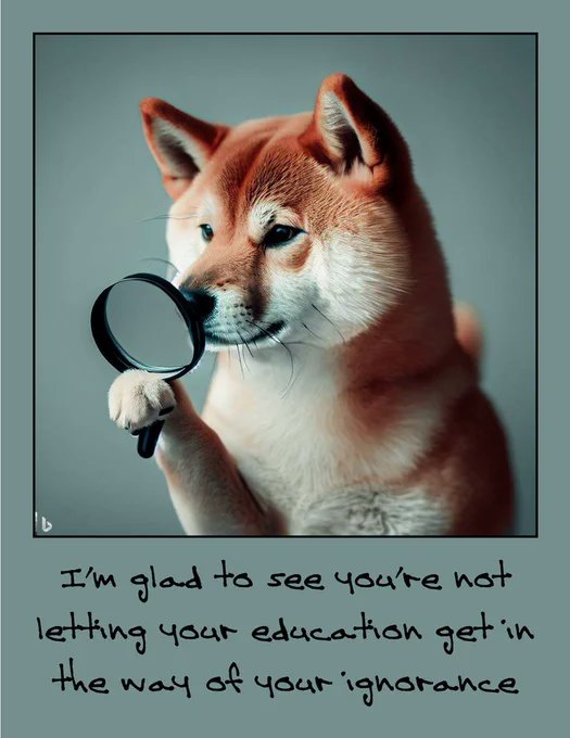 Rebel PR tweet media