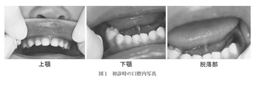 Dr.しば tweet media