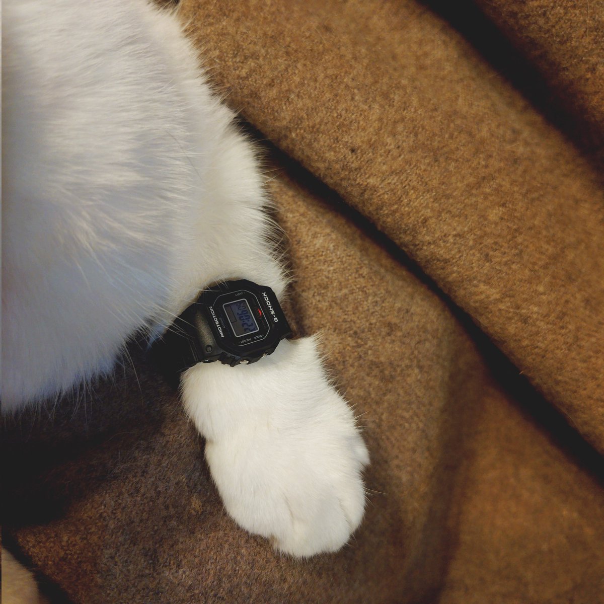 satoyuki tweet media