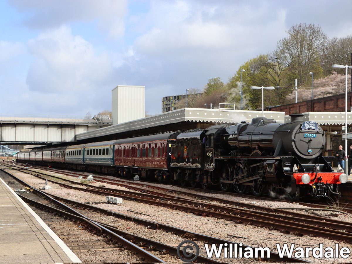 William Wardale tweet media