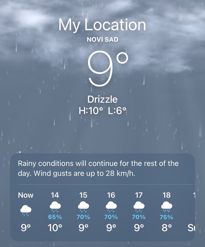 зива давид tweet media