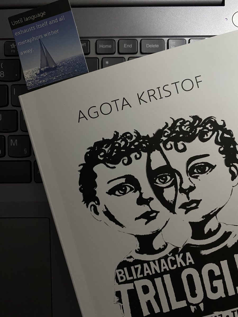 зива давид tweet media