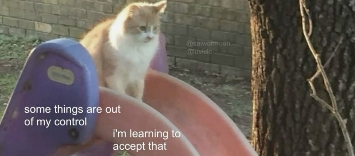 نجمه tweet media